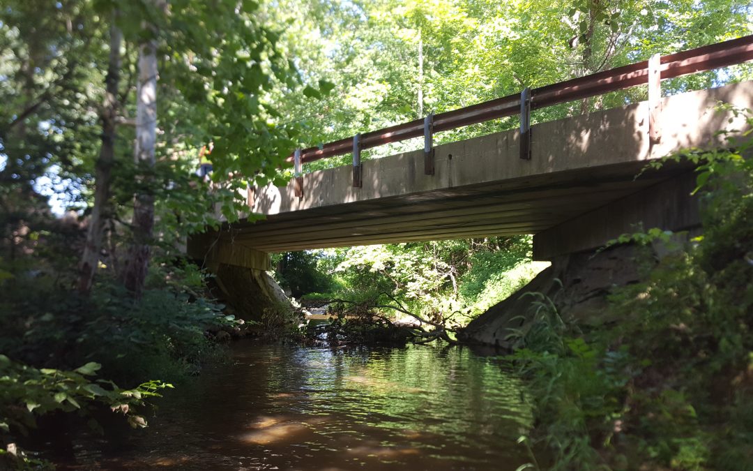 Washington County – Countywide Bridge Inspection